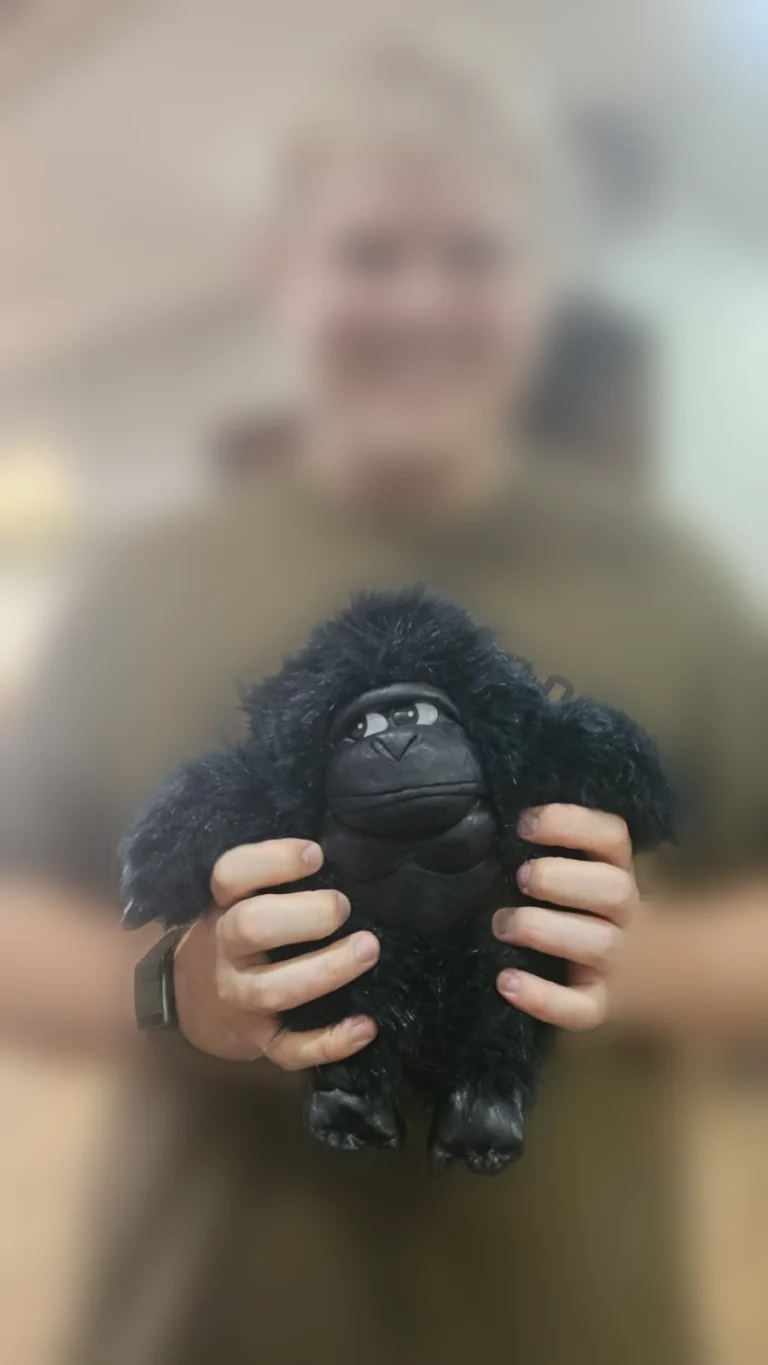 Monkey — Μια Ιστορία Επιστροφής Ο Δημήτρης κρατάει χαμογελαστός στην αγκαλιά του τον πλήρως αναπαλαιωμένο Monkey μετά την άφιξή του, ολοκληρώνοντας το ταξίδι της αποκατάστασης από το Eugenia-Lab.